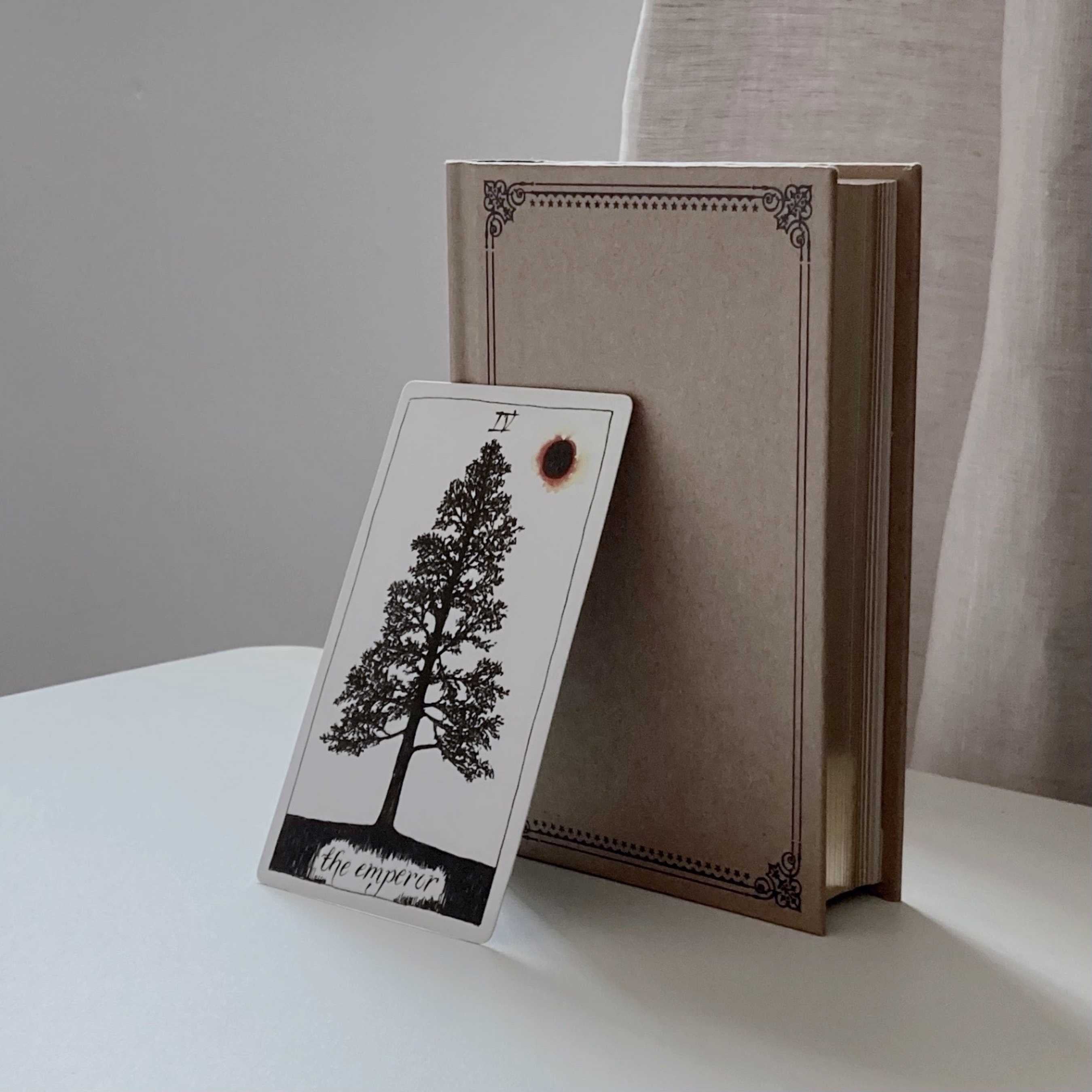 The Emperor card from The Wild Unknown Tarot by Kim Krans rests against a vintage-style book, featuring a minimalist tree design and a solar eclipse. The serene setup embodies stability, authority, and grounding energy in tarot practices.