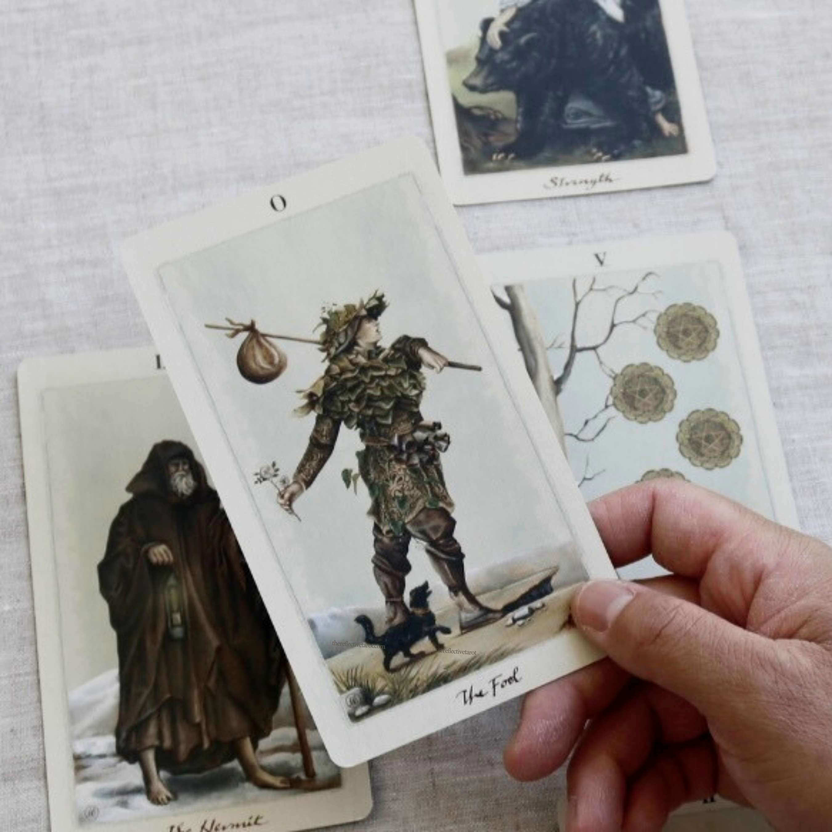 Virtual personal tarot reading spread featuring The Fool, The Hermit, Strength, and Five of Pentacles, offering guidance on new beginnings and personal growth.